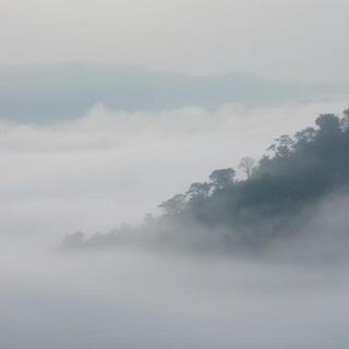 Northern foggy morning street
